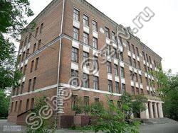 Государственное бюджетное общеобразовательное учреждение города Москвы "Школа № 1811 "Восточное Измайлово"