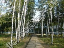 Мустафинская школа