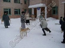 Торбаевская школа